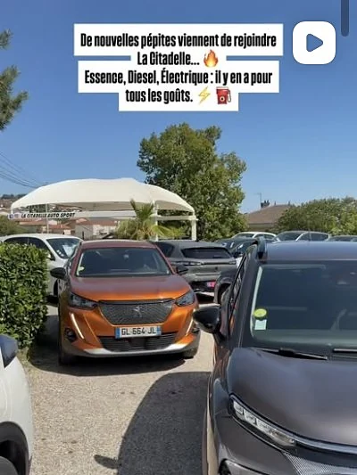 De nouvelles pépites sur le parc